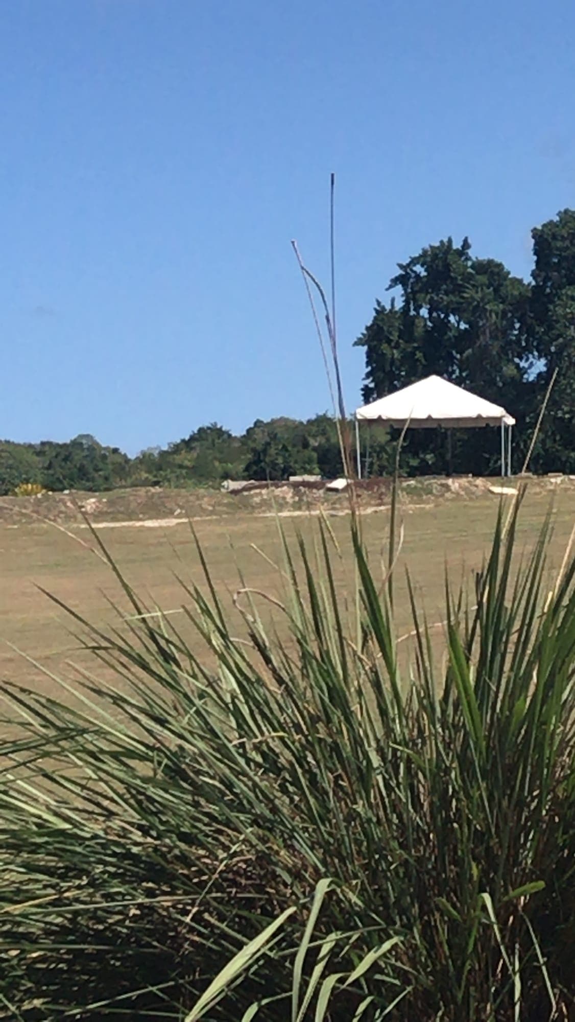 A covered walkway leading to the pavilion