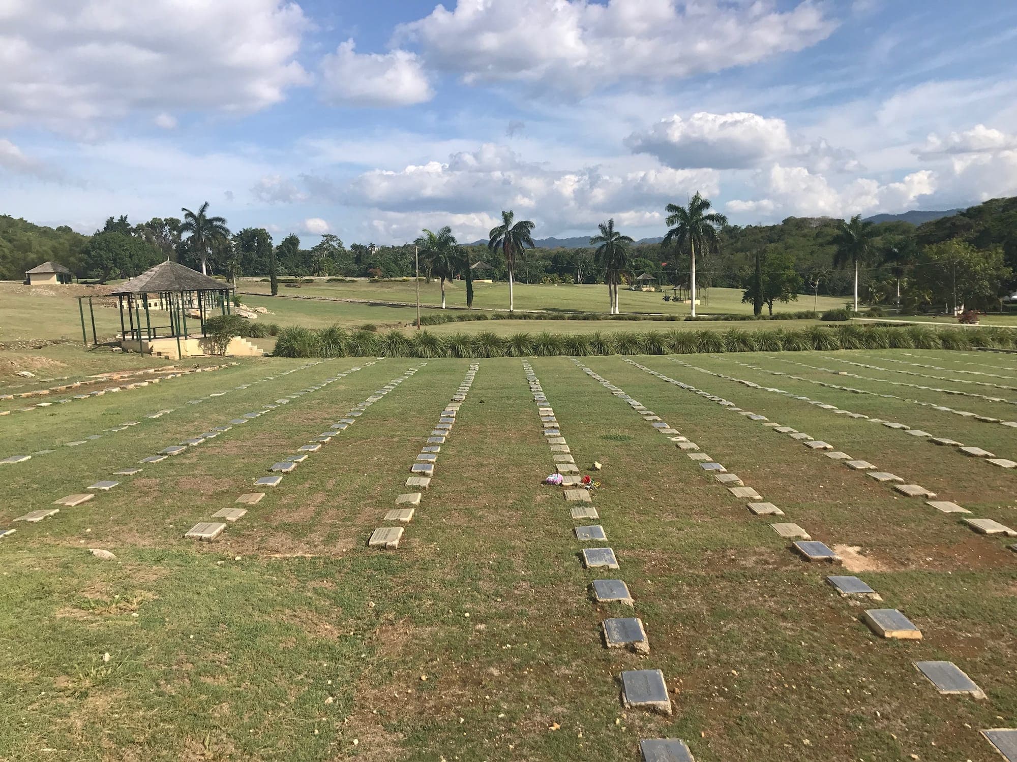 Rows of plots stretching toward the palms