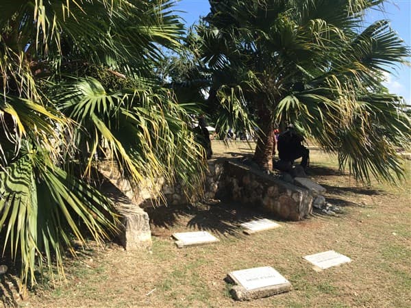 Palms over the memorial plaques