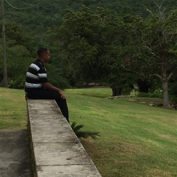 A quiet moment above the gardens